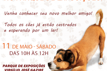 Ampari promove Feira de Adoção neste sábado