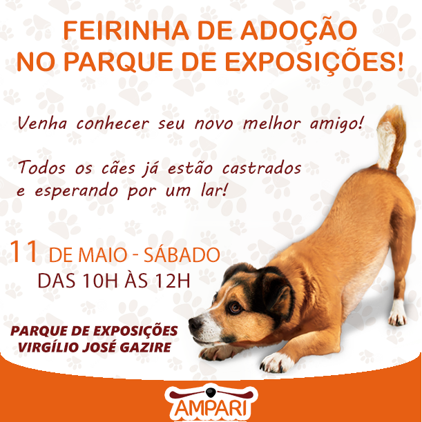 Ampari promove Feira de Adoção neste sábado