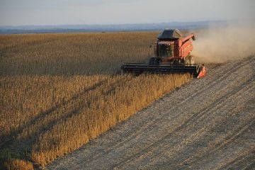 Agronegócio prevê mais 10,3 milhões de hectares de lavouras no país em dez anos
