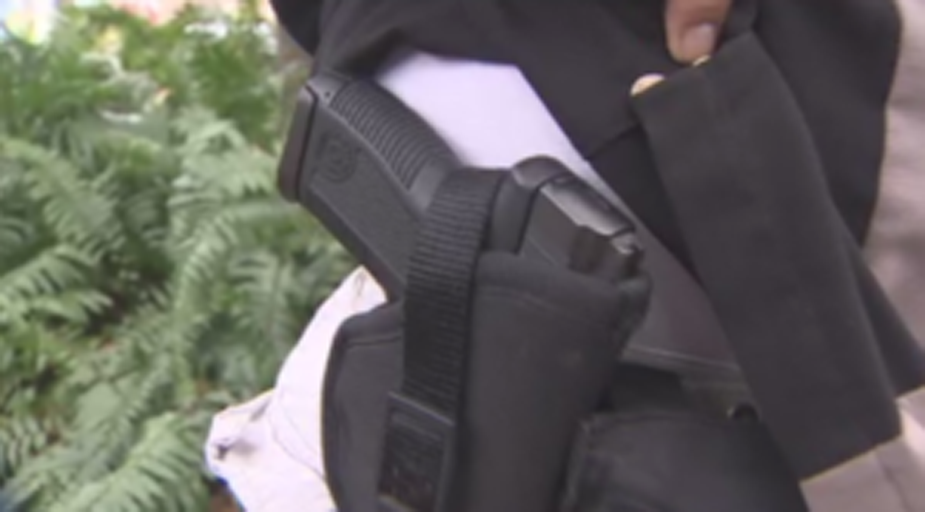 Juiz suspende norma da Anac que restringe porte de armas em voos