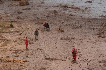 Cinco meses após tragédia em Brumadinho, Vale conclui 49 acordos individuais
