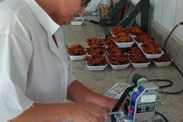Sem Peixe está entre as cidades atendidas por projeto de desenvolvimento da Fundação Renova