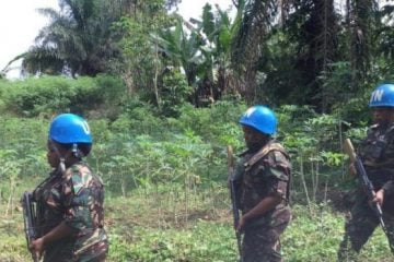 Militares brasileiros treinarão soldados de operação de paz na República Democrática do Congo