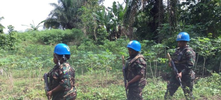 Militares brasileiros treinarão soldados de operação de paz na República Democrática do Congo