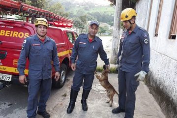 Bombeiros resgatam cachorro de canal do bairro Praia, em Itabira