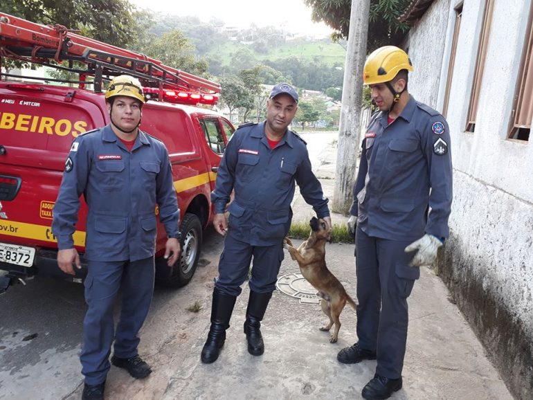 Bombeiros resgatam cachorro de canal do bairro Praia, em Itabira