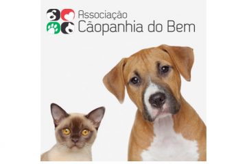 Sicoob Credimepi lança campanha “Cooperar é bom pra cachorro”