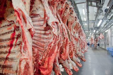 Embargo da China gera possível queda nos preços das carnes