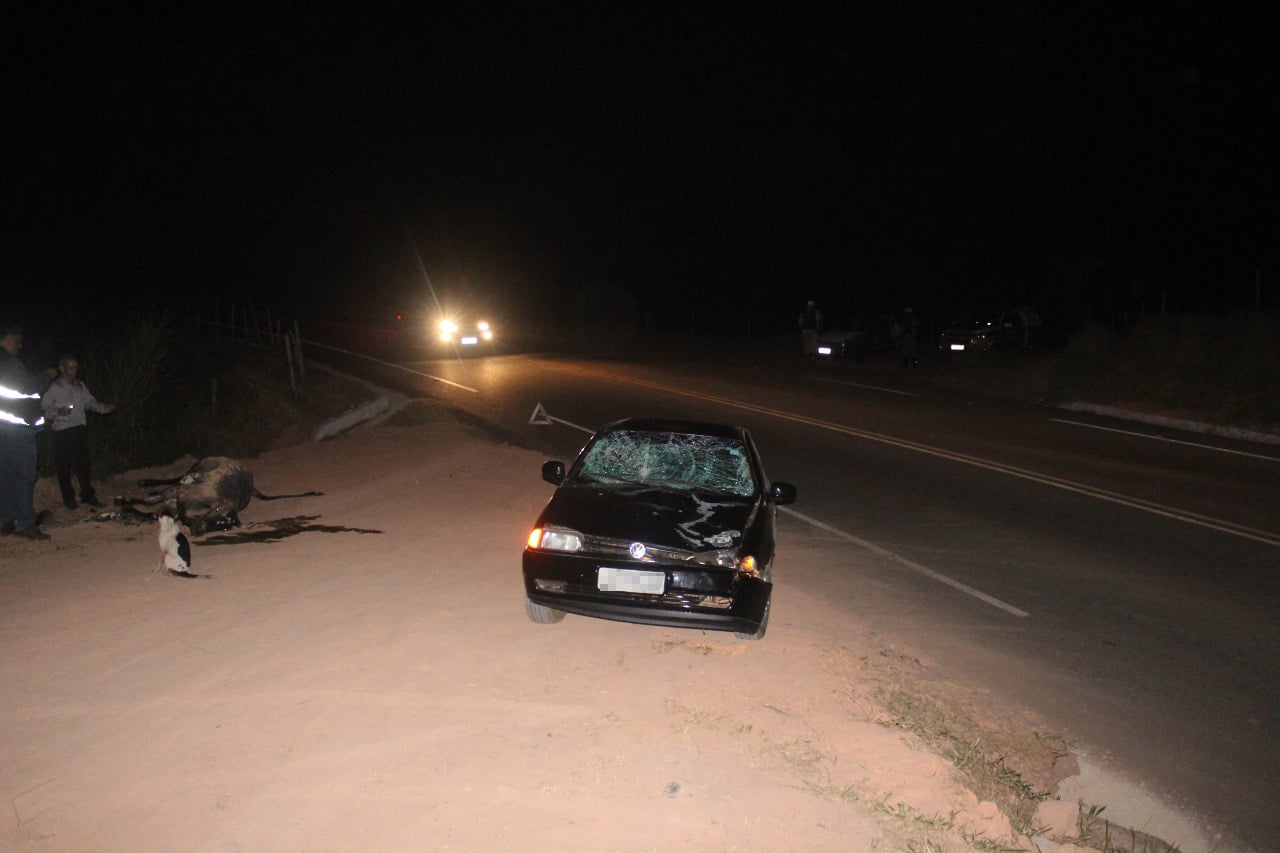 Automóvel tem a frente destruída ao atropelar e matar vaca na MG-129