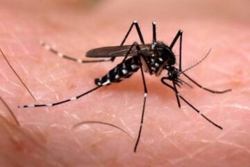 Em uma semana, Minas Gerais registra mais nove mortes por dengue em 2023