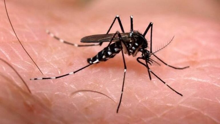 Itabira registra terceira morte suspeita de dengue