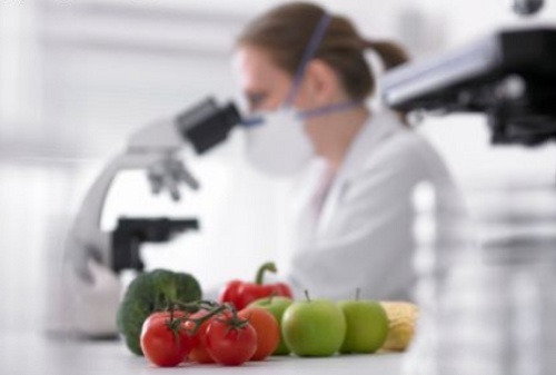 Tia Eliana Indústria de Salgados e Doces contrata engenheiro de alimentos