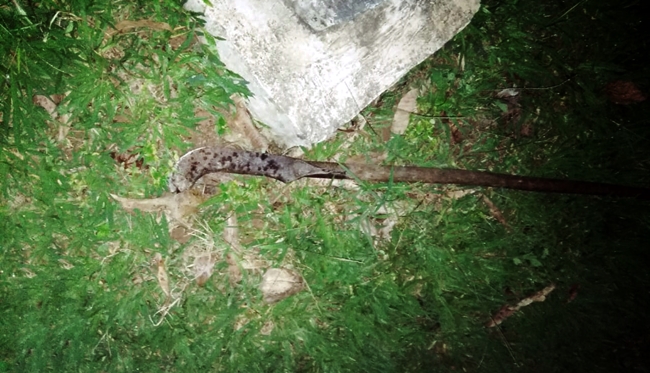 Briga entre irmãos resulta em morte com golpes de foice na zona rural de Ferros