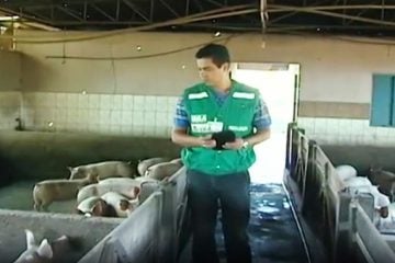 Estado fará processo seletivo para contratar 60 médicos veterinários