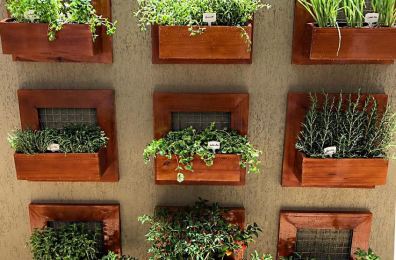Jardim vertical em casa: 5 dicas para quem quer um espaço verde