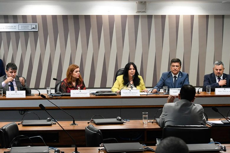 Integrantes do MP afirmam à CPI de Brumadinho que há provas suficientes para incriminar a Vale