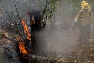 Defesa recebe R$ 38,5 milhões para combater fogo na Amazônia