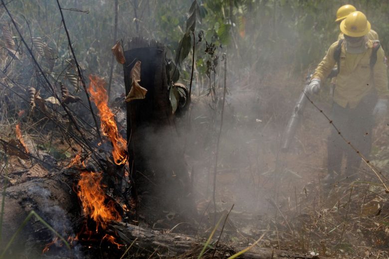 Defesa recebe R$ 38,5 milhões para combater fogo na Amazônia
