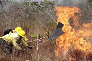 Aneel inicia nova campanha de prevenção a incêndios