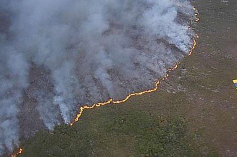 Incêndio florestal atinge há três dias área do Parque Monte Pascoal