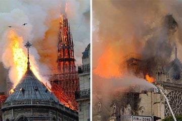 França pede ajuda para a reconstrução da Catedral de Notre-Dame