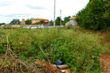 Problema antigo em Monlevade, Prefeitura pede que moradores mantenham calçadas e lotes limpos