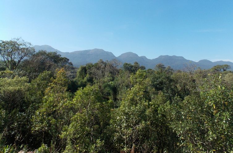Minas Gerais tem redução de 25% no desmatamento da Mata Atlântica