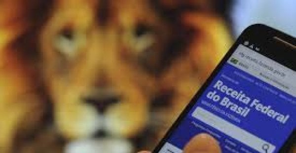 Malha Fina: Saiba quais são os principais erros dos contribuintes na hora de declarar o imposto de renda
