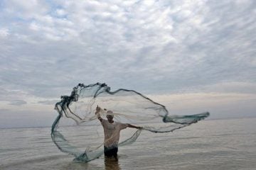 ONG alerta que 10% do lixo plástico nos oceanos vêm de pesca fantasma