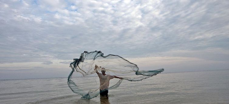 ONG alerta que 10% do lixo plástico nos oceanos vêm de pesca fantasma