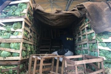 PRF apreende mais de três toneladas de maconha no Norte de Minas