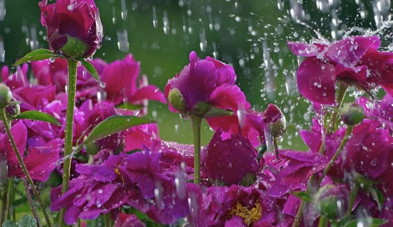 Mais chuvas de primavera para esta quarta-feira; confira a previsão do tempo