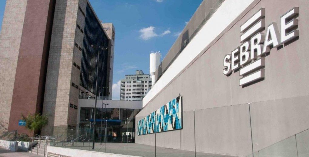 Sebrae-MG abre 80 vagas para Agentes Locais de Inovação (ALI) com bolsas de R$ 4.000