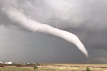 EUA: tornado atinge Alabama deixando rastro de morte e destruição