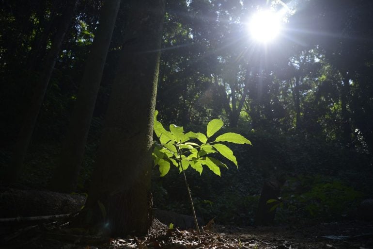 Produtores rurais recebem Pagamentos por Serviços Ambientais