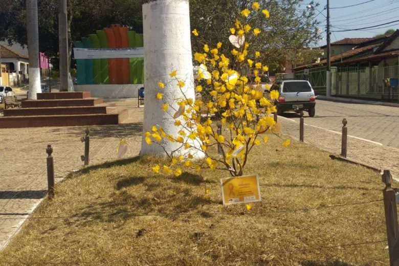 Bilhetes em árvore alertam para prevenção do suicídio em Dom Joaquim
