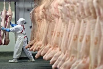 Exportações de carne suína crescem 24,5% no primeiro semestre
