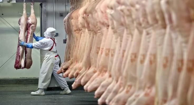 Exportações de carne suína crescem 24,5% no primeiro semestre