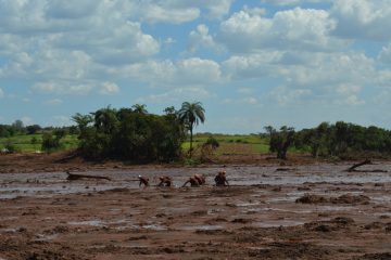 Brumadinho: Vale é condenada a pagar R$ 11,8 milhões a 2 famílias de vítimas