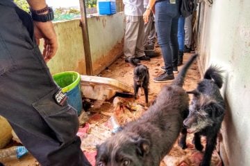 Polícia Civil encontra cães em estado deplorável na capital