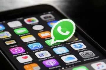 Câmara de Deputados lança canal no WhatsApp contra fake news