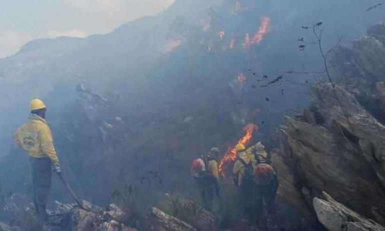 Parque Nacional da Serra do Cipó é reaberto para visitas após incêndio