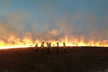 Minas convoca detentos para atuar no combate a incêndios