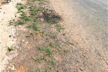 Vereadores reclamam da qualidade de obras públicas em Monlevade