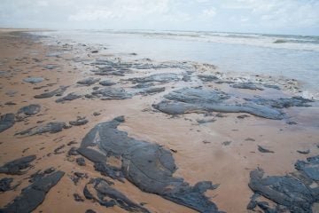 Petrobras retira mais de 200 toneladas de resíduo oleoso de praias