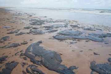 Mais de 100 toneladas de óleo já foram recolhidas no Nordeste, diz Salles