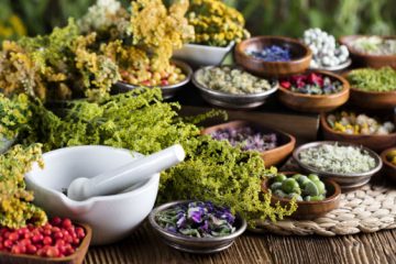 Curso gratuito sobre plantas medicinais é oferecido em Conceição
