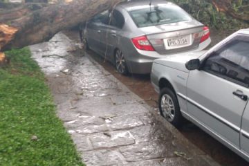 Estragos e prejuízos em Santa Bárbara devido às chuvas