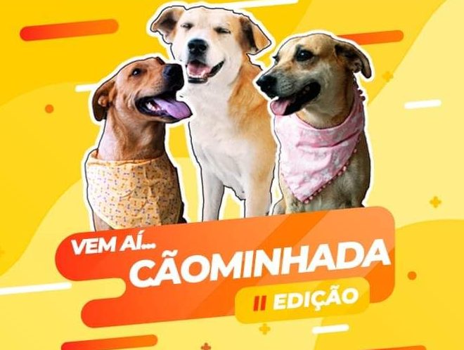 “Cãominhada” da Ampari será neste domingo em Itabira