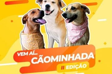 Ampari realiza segunda edição da “Cãominhada” em Itabira